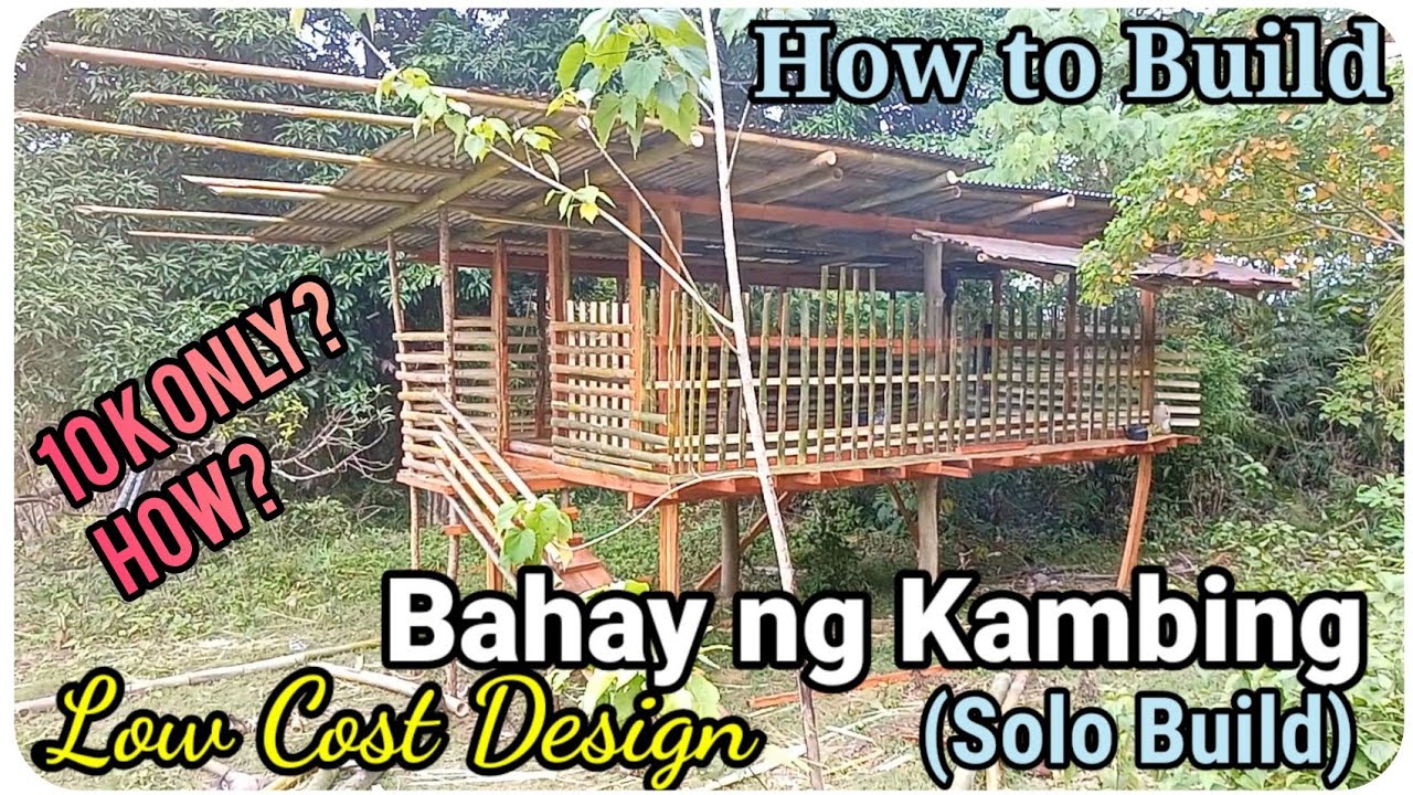  How To Build Low Cost Goat Housing Design Best For Begginers Goat 