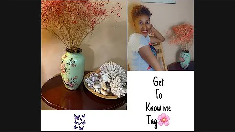 My very first video || Get to know me tag.