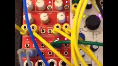 Mungo g0 and Harvestman Tyme Sefari mkii in action