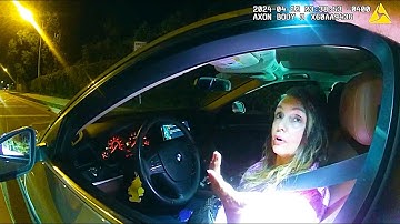 How a Simple Traffic Stop Ended in Total Disaster