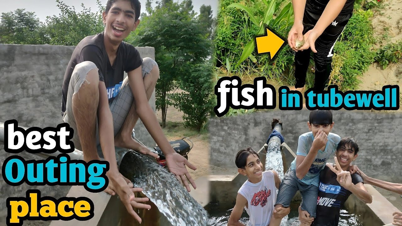 Best outing place   with friends/ tubewell ma fish a Gai 😱