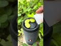jbl super duper bass test with green chocolate jumping on flip 2