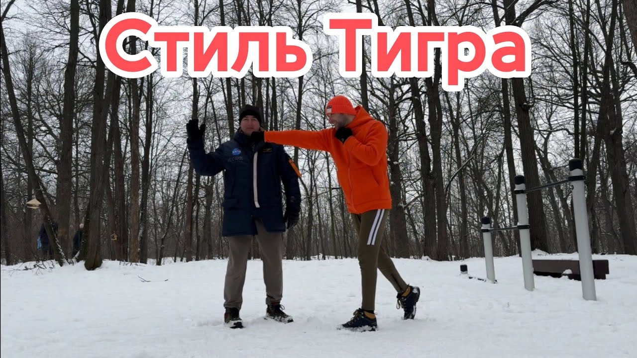 Стиль Тигра против европейского бокса 