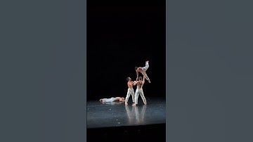 Microdose Pilobolus from Particle Zoo...little rubber trio