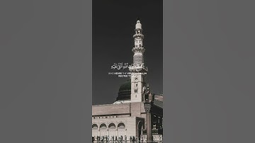 سورة الجاثية {الآية 7} بصوت الشيخ ياسر الدوسري ❤️💖
