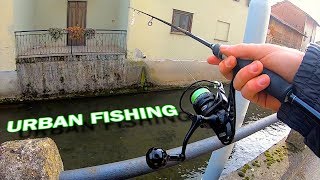 URBAN FISHING a little town in Northern Italy: Carp with softbaits!