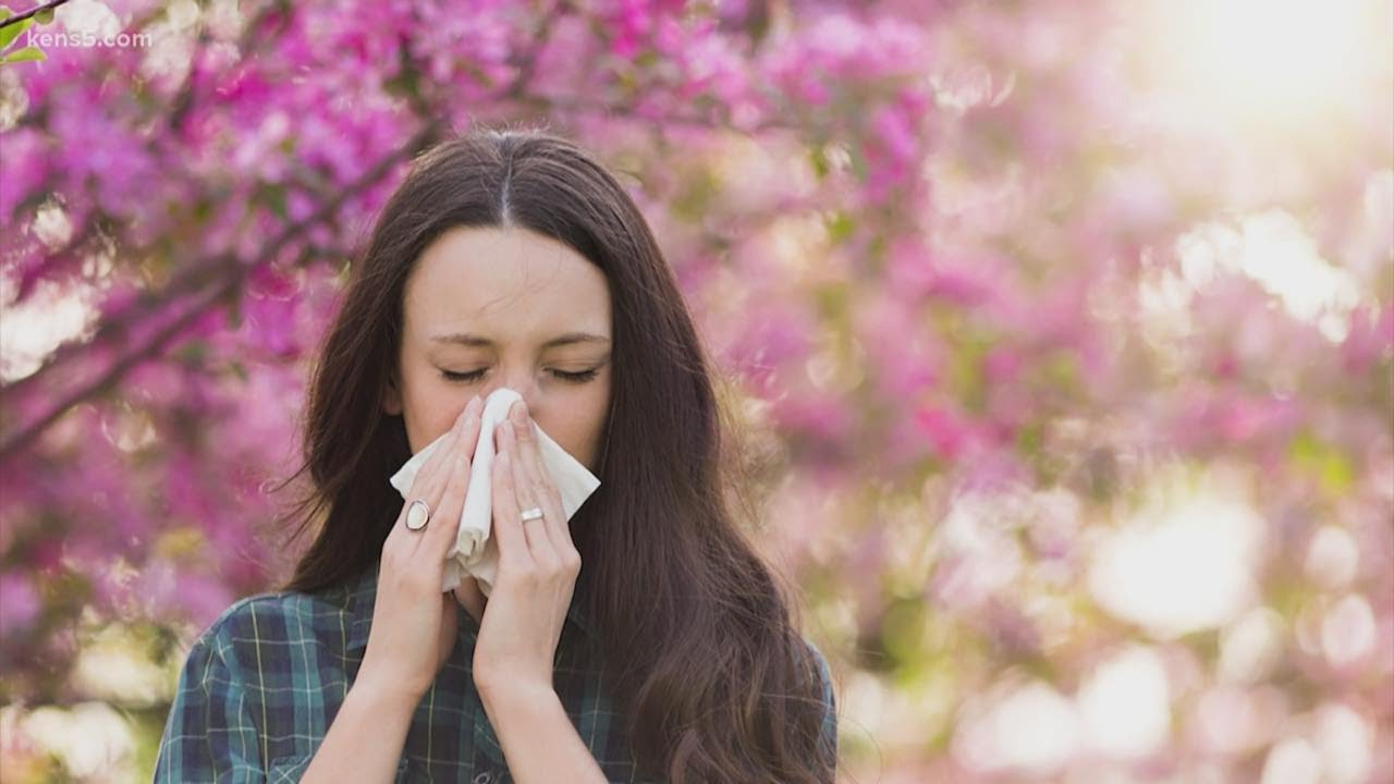 Cedar fever? Or coronavirus? Doctor explains how symptoms are the same — and different