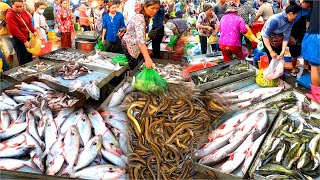 Fish Market. Massive Supplies of Fish Market Cambodian. Cambodian Fish Market