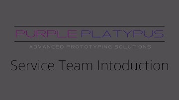 30 on 3D: Introducing the Service Team | Purple Platypus