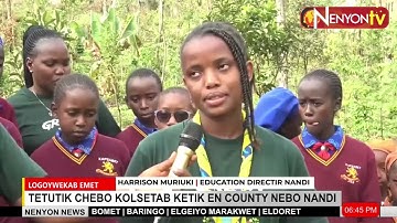 ENVIRONMENTALISTS JOIN HANDS IN TREE PLANTING INITIATIVE IN NANDI TO COMBAT CLIMATE CHANGE