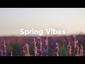 Spring vibes playlist  chill tracks for springtime walks 