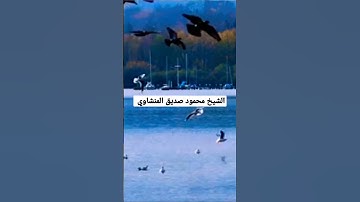اخشع تلاوة للشيخ محمود صديق المنشاوي #القرآن_الكريم #كنوز_القرآن