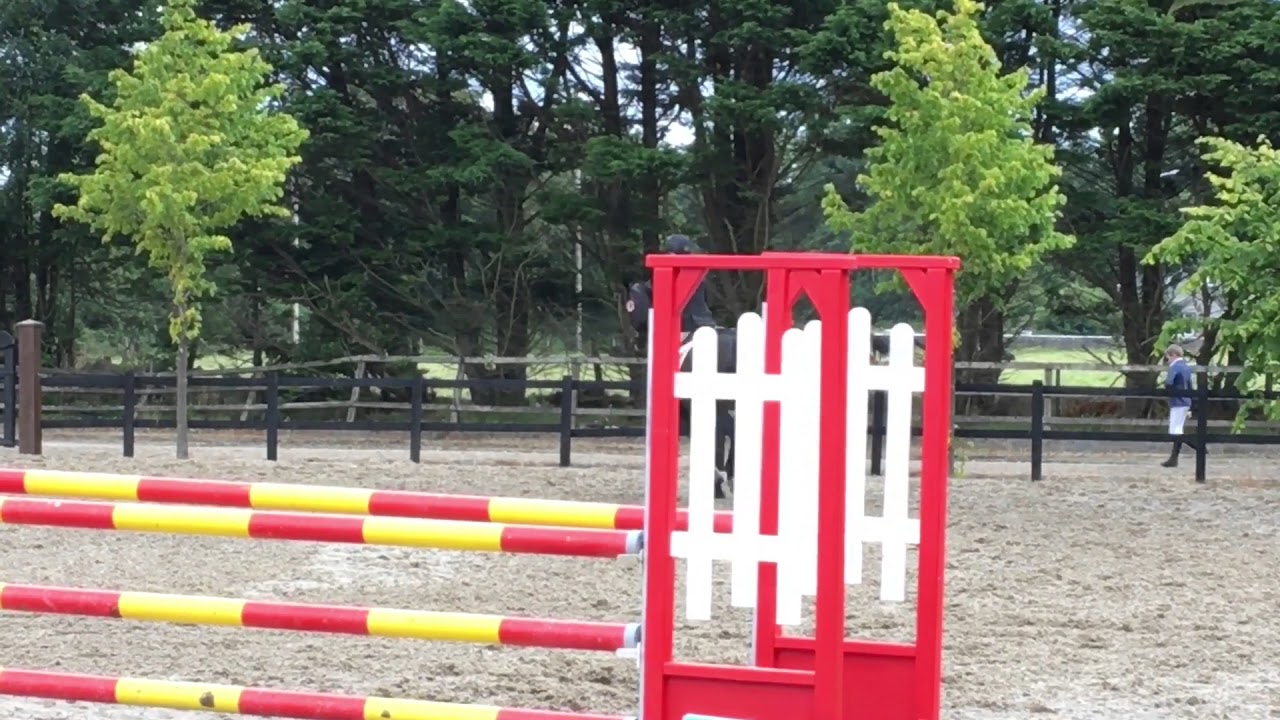 horseshoe bend Limestone Uno ( 4 year old Stallion by Numero Uno - Dam by Argentinus ) Millstreet August 2017