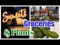 *NEW* GROCERY HAUL | ALDI & WALMART HAUL | PLANT LIFE | FLORIDA SUNSETS | LIVING IN THE MOM LANE