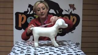 How to Measure Your Dog by Jamielee McGirl 87 views 11 years ago 48 seconds