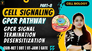 Cell Signaling-8 |GPCR Signal Termination | GPCR Signaling Regulation the role of Grks And Arrestins