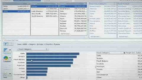 SAP BusinessObjects Explorer Demo