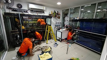 Pee FN Auto Car - งานระบบ Overflow All Services สำหรับตู้เฟอร์ 84 + ตู้ปลา 60/2 ชั้นวันเดียวจบ Set 1