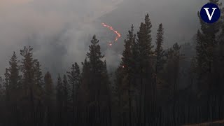 Los incendios arrasan miles de hectáreas en León Zamora y Galicia