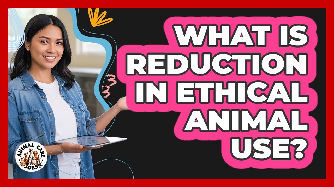 What Is Reduction In Ethical Animal Use? - YouTube