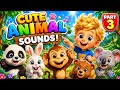 Animal sound for kids 🐼🦜🐪 Cute animal sound learn wild & farm animals | Kids learning fun