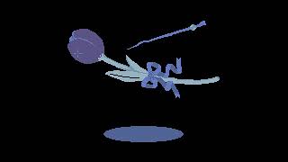 [Galaxy Themes]pixel art The Witch frame_jamjam AOD gif