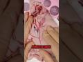 BOTÃO NO CACHORRO?  #curiosidades #animais #curioso #shorts #viral #cachorro #medicinaveterinária