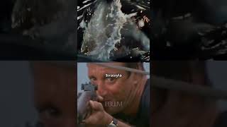 Deep Blue Sea Mavi Korku Filmindeki Jaws Detayı