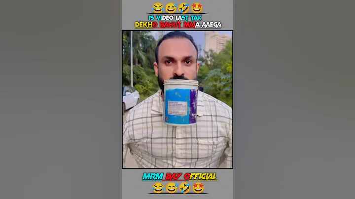 Video 11531331: cat best funny animal