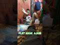 Pijit Tradisional Videoshorts