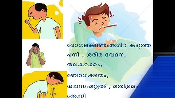 Nipah Virus- Symptoms, Treatment,നിപ്പ വൈറസ് - ലക്ഷണങ്ങൾ, ചികിത്സാ, മുൻകരുതലുകൾ