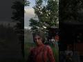Madam Nazar Location for July 20 #reddeadredemption #madamnazar #shorts
