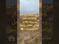 فيرمة 6هكتارات نواحي مكناس بالدار ومسيجة كاملة وعلى الݣودرون وبتمن مناسيييييييييب 3a9aratchaykh فيرمة 6هكتارات نواحي مكناس بالدار ومسيجة كاملة وعلى الݣودرون وبتمن مناسيييييييييب 3a9aratchaykh