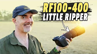 RF100-400 Still the BEST Value Wildlife Lens?