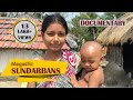 Sundarban video | Drone Footage | Sundarbans Tigers | Sundarban documentary | sundarban tour