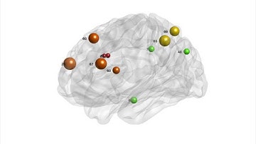 Video (Ponsoda et al., 2016, Human Brain Mapping)