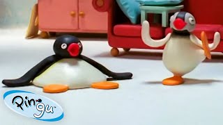 Summertime With Pingu! 🐧 | Pingu - Official Channel | Cartoons For Kids