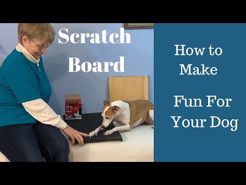 Teach Your Dog to File Her Own Nails - Rover-Time