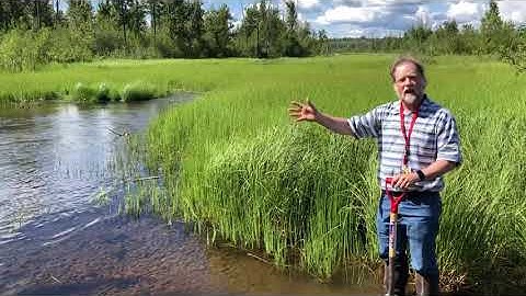 Introduction to Wetlands Part 1