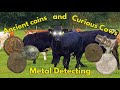 Roman Close enCOWnter! Metal Detecting UK
