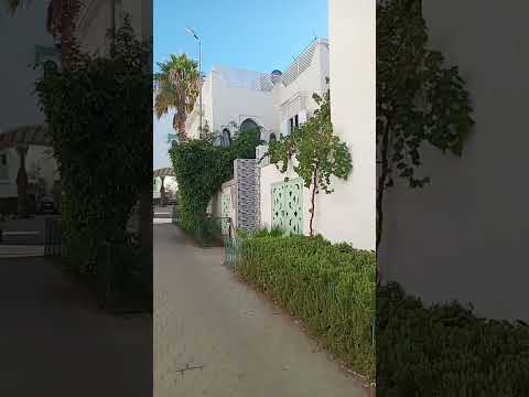 اغنية جيب لي شي مرة جبلية شعبي عيطة غناء طرب القصبة تامسنا  اكسبلور تقاليد مغربية