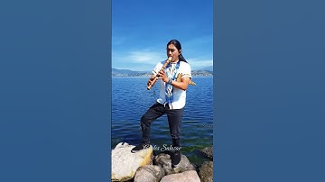 Thumbnail of Despacito - Luis Fonsi ft Daddy Yankee ( Andean ) #flute #nature #shorts