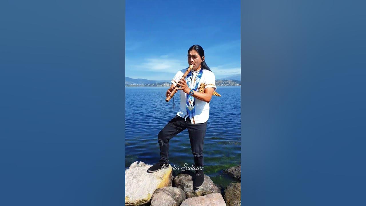 Despacito - Luis Fonsi ft Daddy Yankee ( Andean ) #flute #nature #shorts