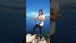 Despacito - Luis Fonsi ft Daddy Yankee ( Andean ) #flute #nature #shorts