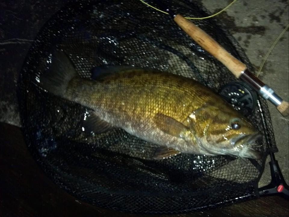 Fly Fishing For Big Smallmouth Bass (7.25lbs) LyubakaVideo YouTube