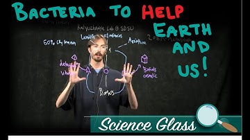 Bacteria to Clean Earth and Us: Methanotrophs