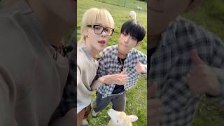 going WILD with 🐑 #Lunatic #andTEAM #앤팀 #NICHOLAS #니콜라스 #HARUA #하루아