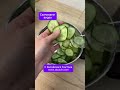 После этого видео вы не захотите работать с 8 до 17:00
