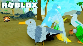Roblox Feather Family Youtube - roblox feather family hummingbird crane map exploration day