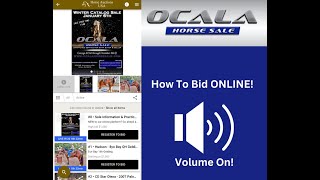 Ocala Horse Sale How To Bid Online screenshot 5